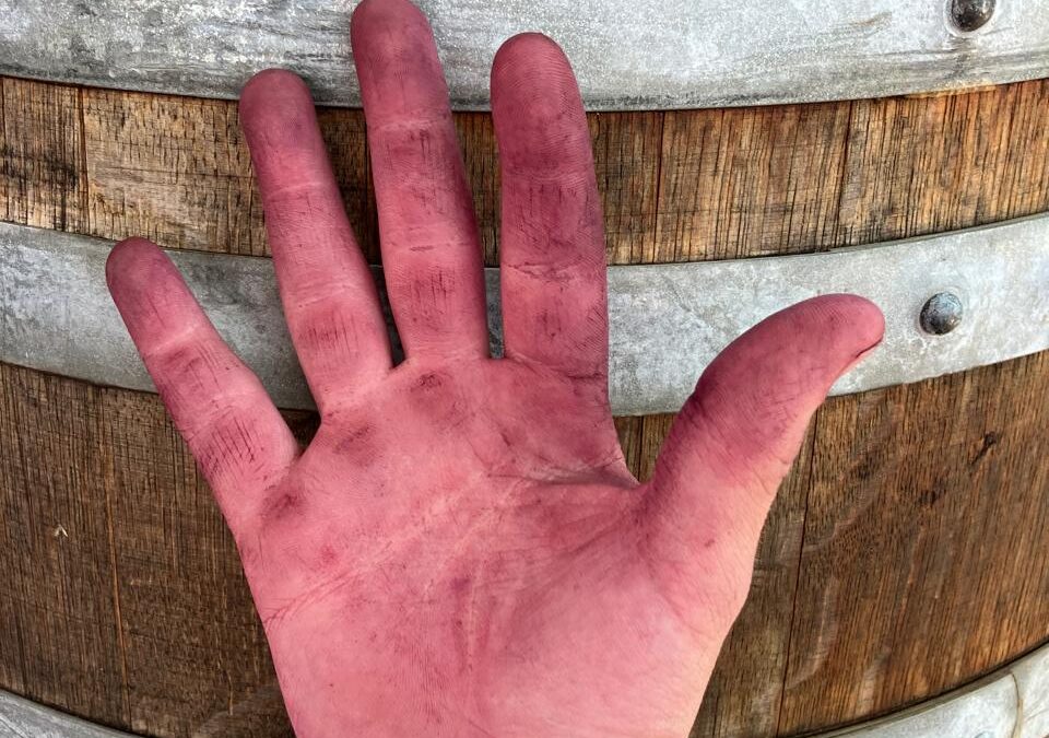Harvest report 2024