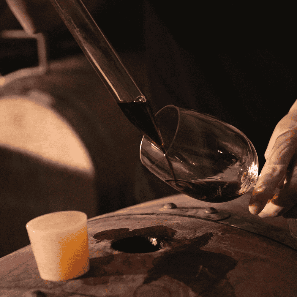 Painted Wolf Wines Summer Newsletter