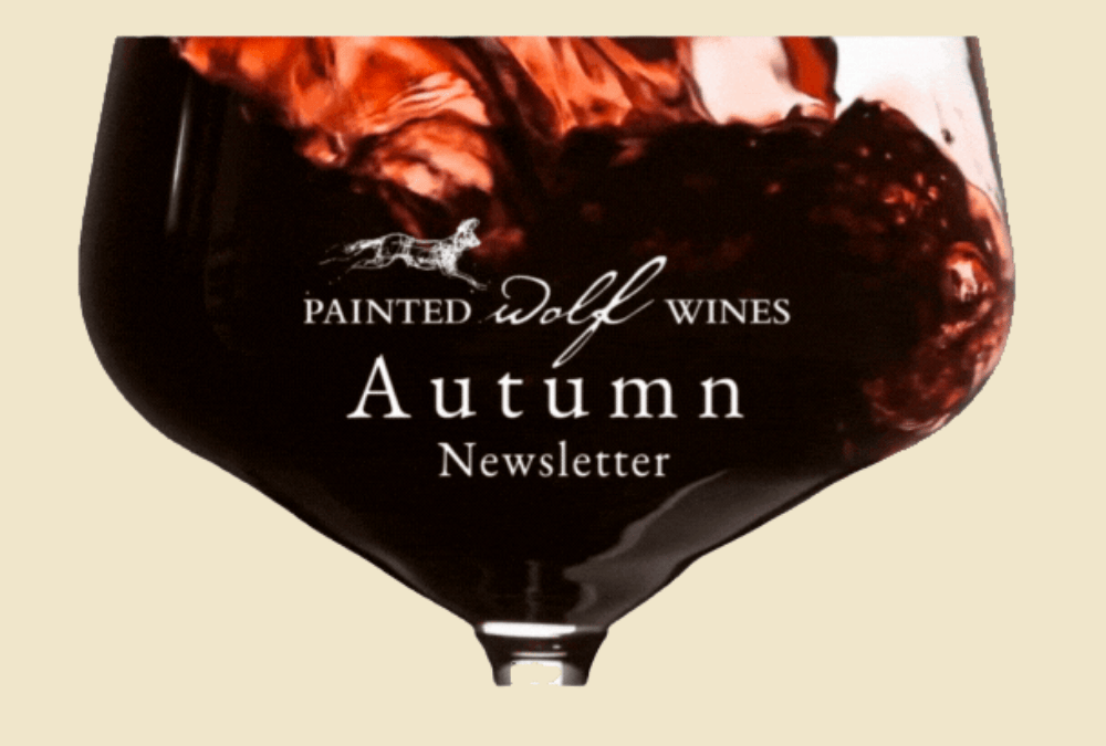 Painted Wolf Wines Autumn Newsletter