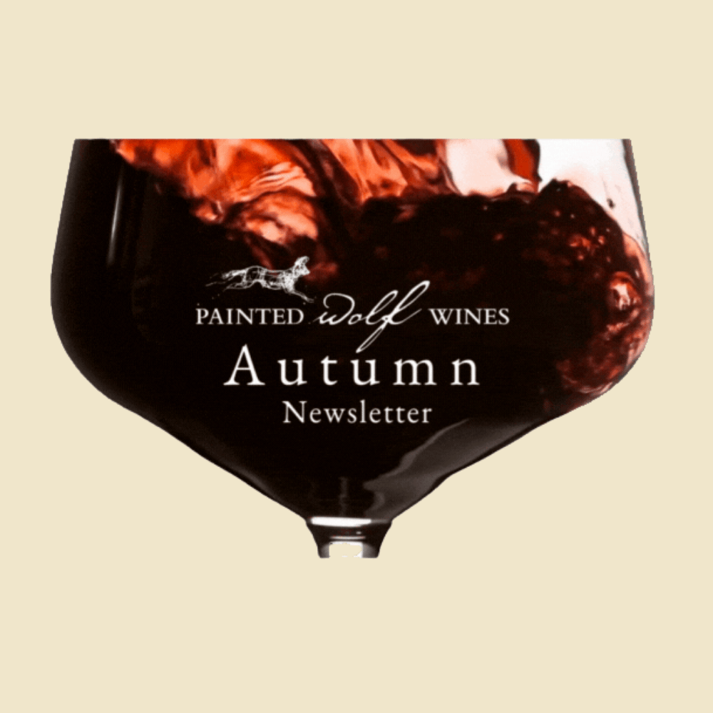 Painted Wolf Wines Autumn Newsletter