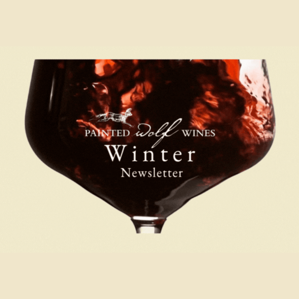 Painted Wolf Wines Winter Newsletter