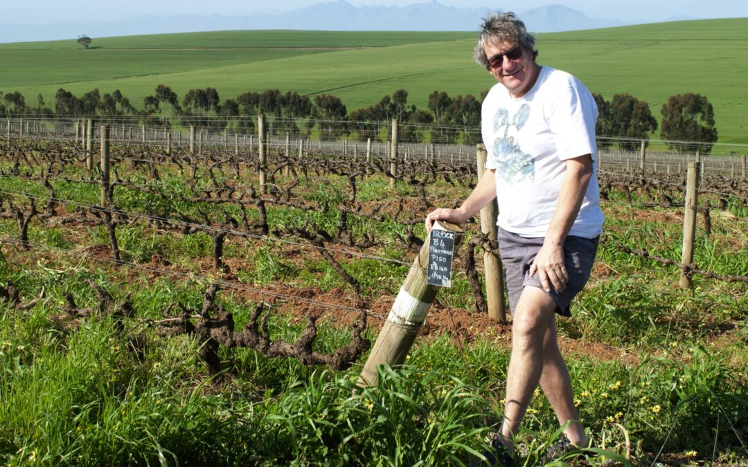 Our 20th Vintage