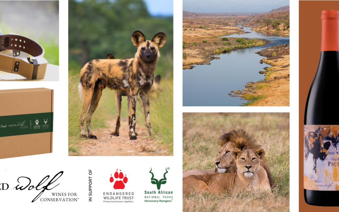 The Kruger Carnivore Fundraiser 
