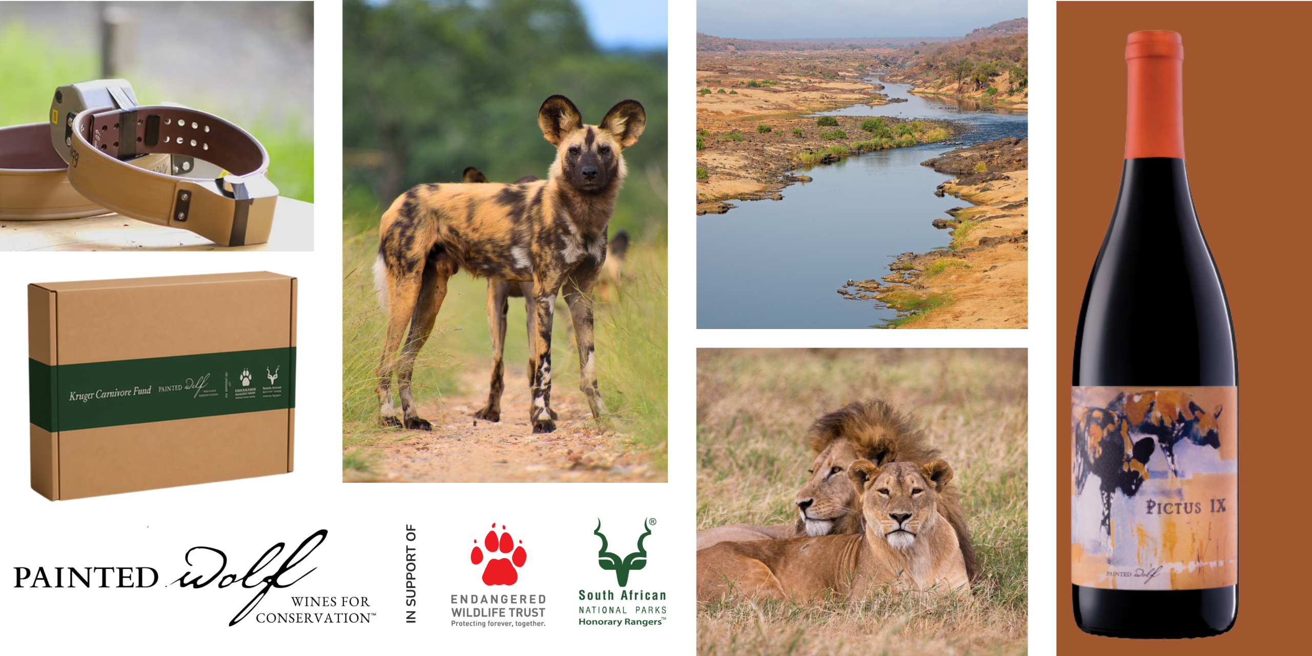 KCF Webs (1) The Kruger Carnivore Fundraiser Six wines. Six months. A fighting chance for Kruger’s great carnivores.
